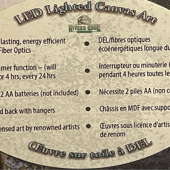 LED Lighted Canvas Art - Picture 3 of 4